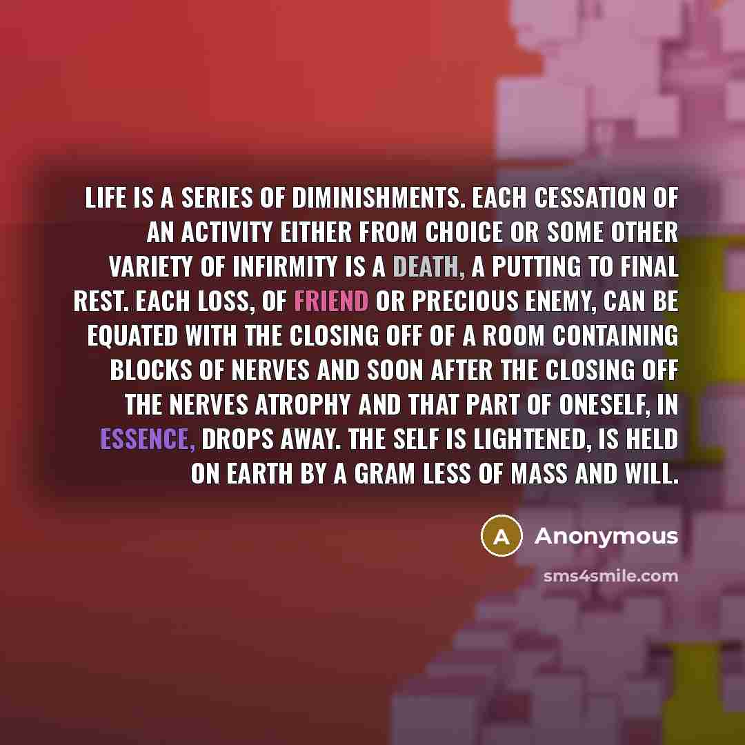 “Life is a series of diminishments. Each cessation of an activity either from choice or some other variety of infirmity is a death, a putting to final rest. Each loss, of friend or precious enemy, can be equated with the closing off of a room containing blocks of nerves and soon after the closing…” quote by Anonymous