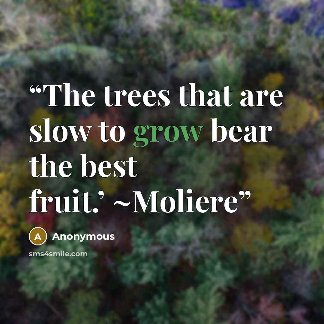 “The trees that are slow to grow bear the best fruit.’ ~Moliere” quote by Anonymous