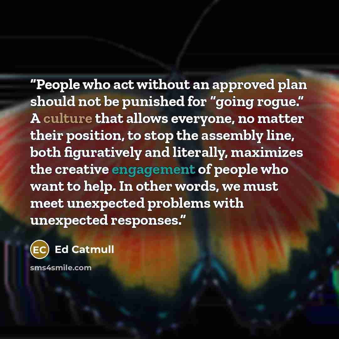 “People who act without an approved plan should not be punished for “going rogue.” A culture that allows everyone, no matter their position, to stop the assembly line, both figuratively and literally, maximizes the creative engagement of people who want to help. In other words, we must meet…” quote by Ed Catmull