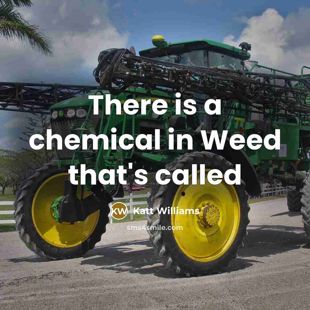 “There is a chemical in Weed that's called” quote by Katt Williams