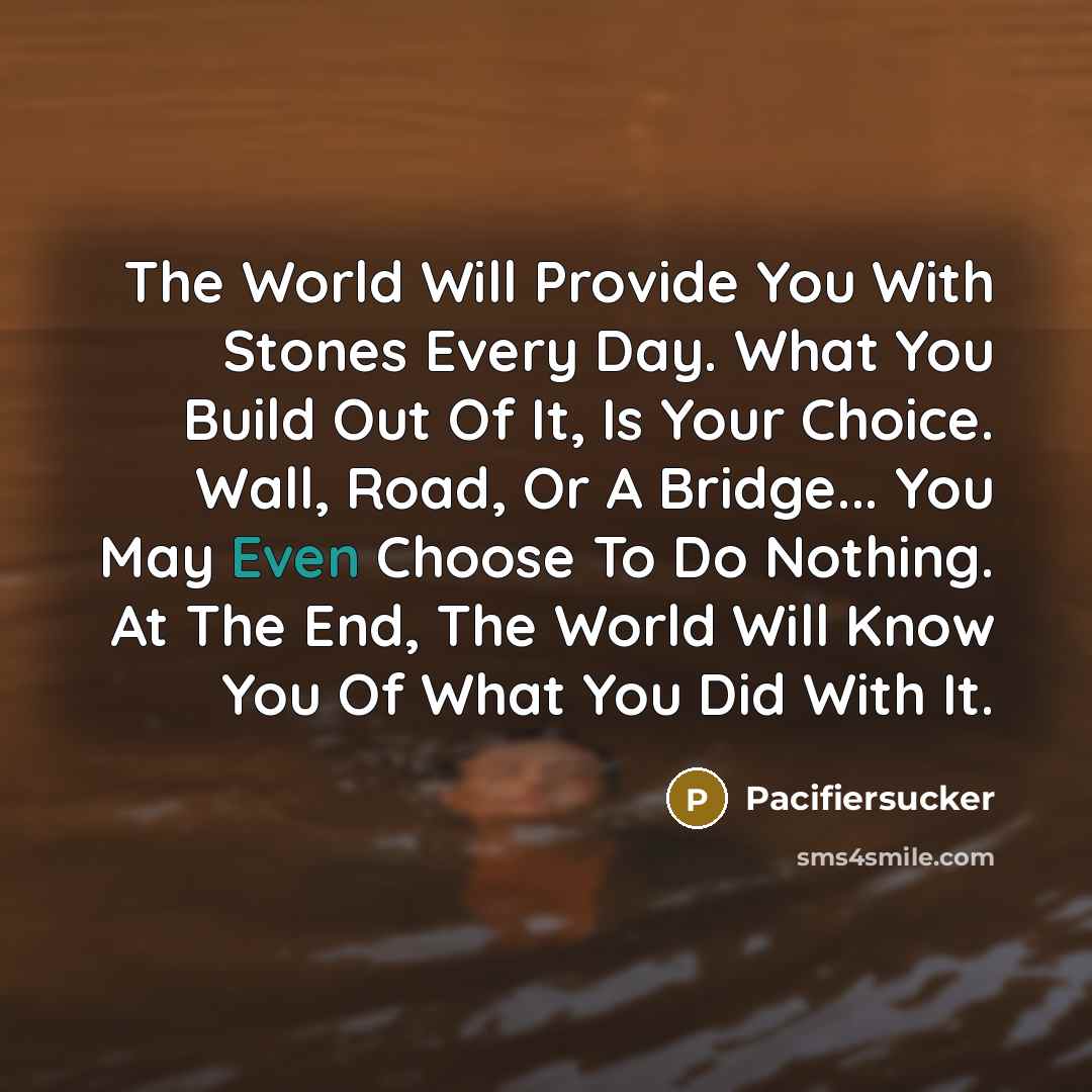“The World Will Provide You With Stones Every Day. What You Build Out Of It, Is Your Choice. Wall, Road, Or A Bridge... You May Even Choose To Do Nothing. At The End, The World Will Know You Of What You Did With It.” quote by Pacifiersucker