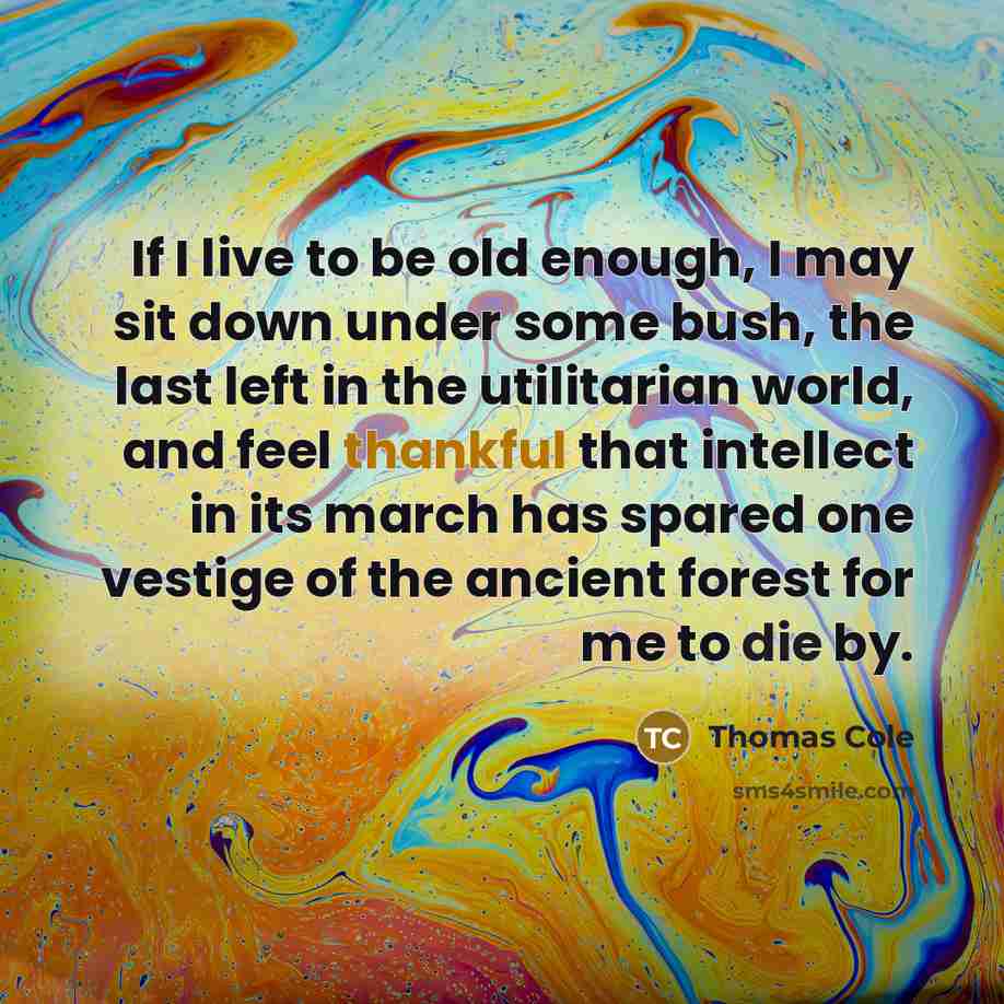 “If I live to be old enough, I may sit down under some bush, the last left in the utilitarian world, and feel thankful that intellect in its march has spared one vestige of the ancient forest for me to die by.” quote by Thomas Cole