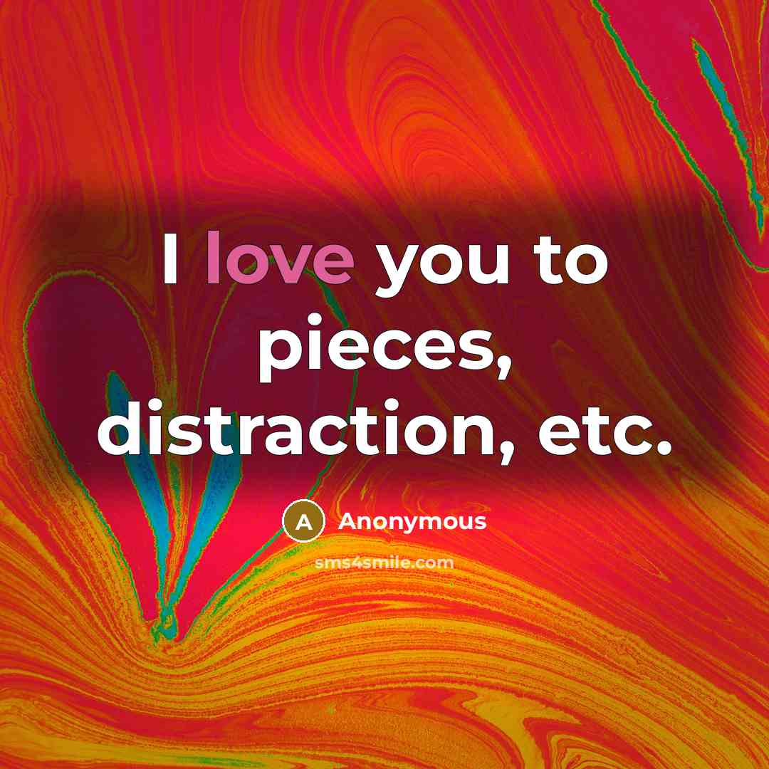 “I love you to pieces, distraction, etc.” quote by Anonymous