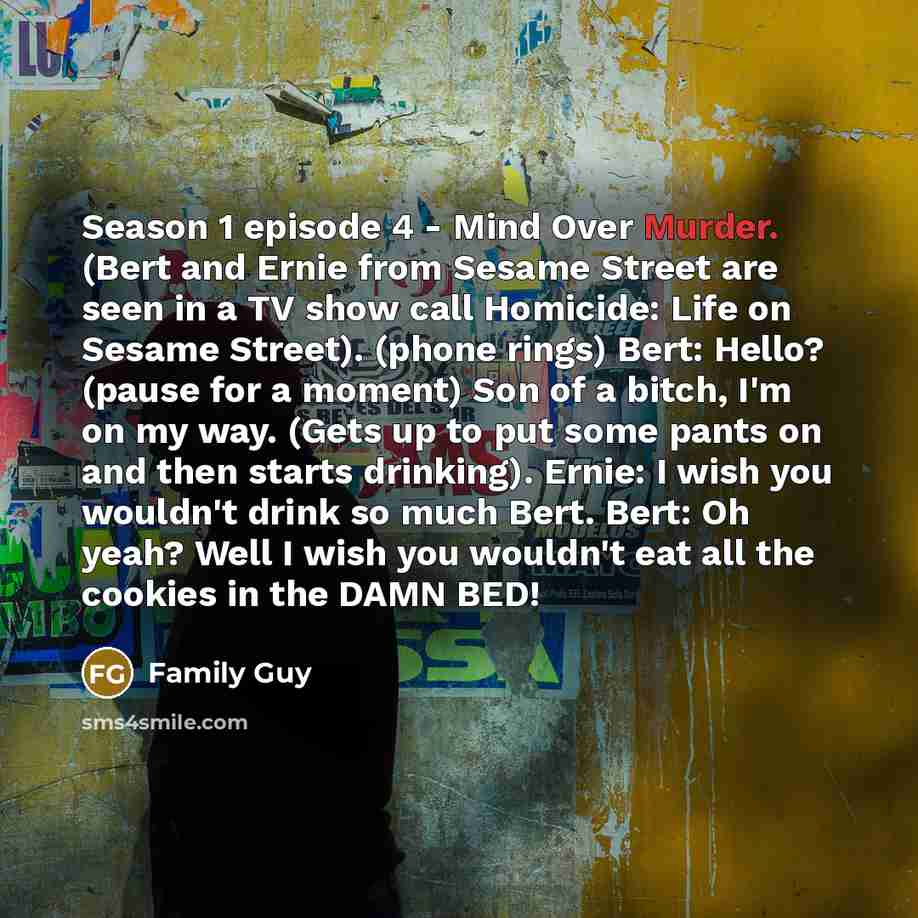 “Season 1 episode 4 - Mind Over Murder. (Bert and Ernie from Sesame Street are seen in a TV show call Homicide: Life on Sesame Street). (phone rings) Bert: Hello? (pause for a moment) Son of a bitch, I'm on my way. (Gets up to put some pants on and then starts drinking). Ernie: I wish you wouldn't…” quote by Family Guy