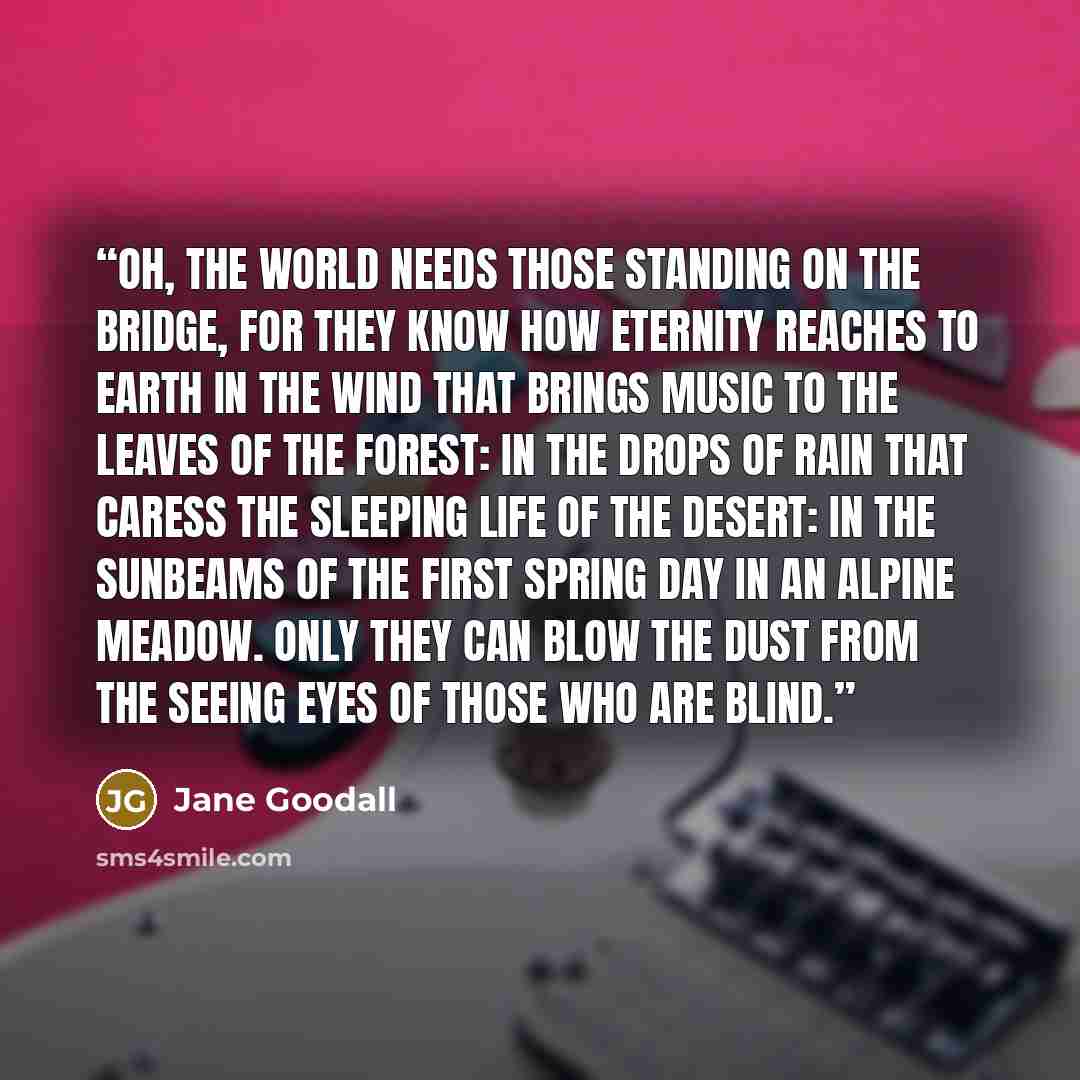 “Oh, the world needs those standing on the Bridge, For they know how Eternity reaches to earth In the wind that brings music to the leaves Of the forest: in the drops of rain that caress The sleeping life of the desert: in the sunbeams Of the first spring day in an alpine meadow. Only they can blow…” quote by Jane Goodall