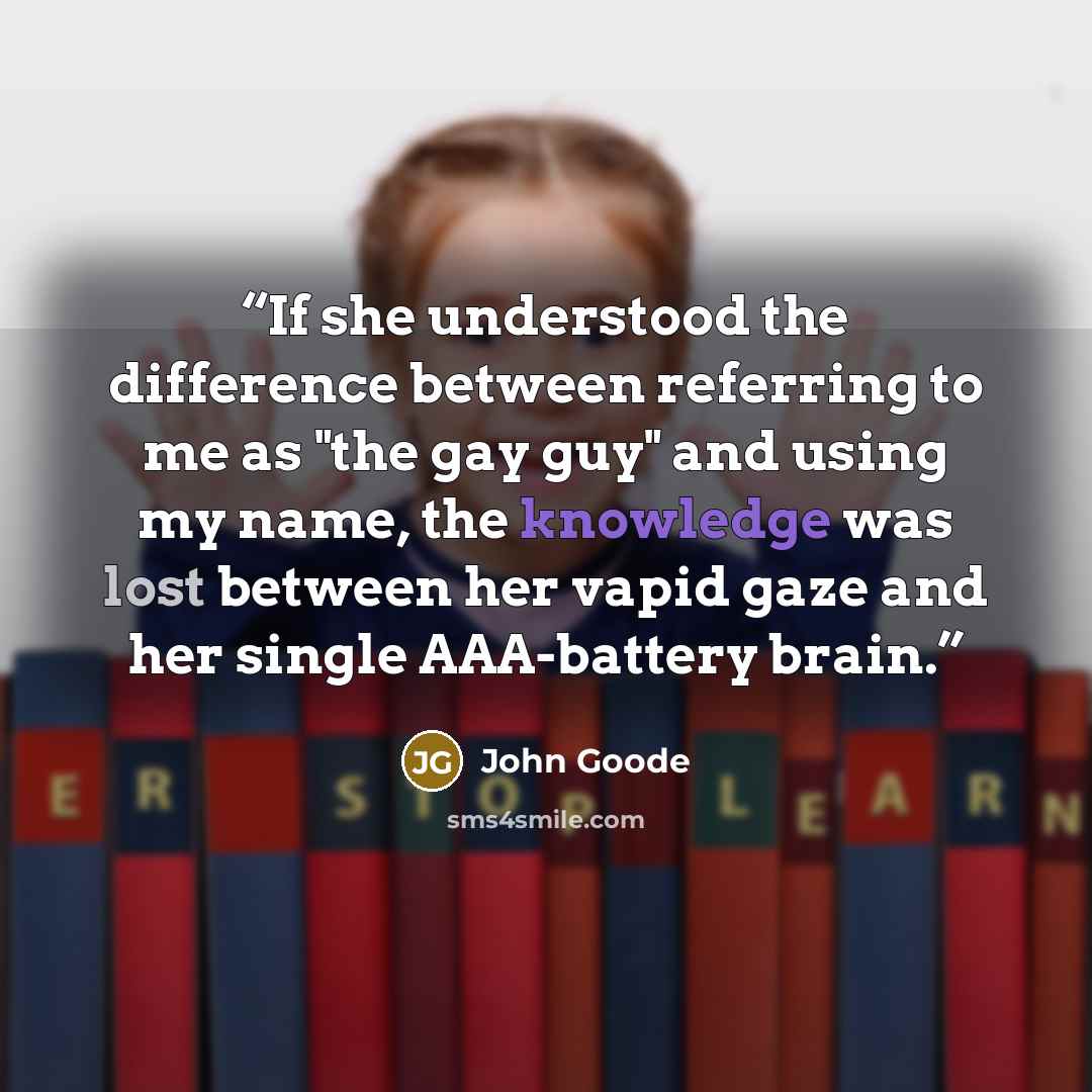 “If she understood the difference between referring to me as "the gay guy" and using my name, the knowledge was lost between her vapid gaze and her single AAA-battery brain.” quote by John Goode