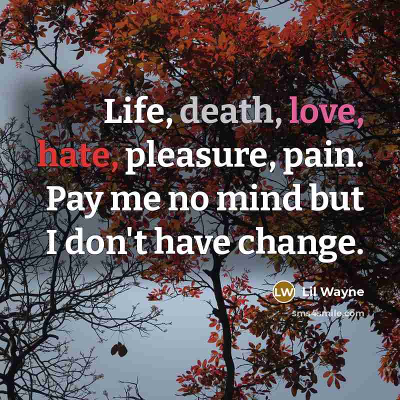 “Life, death, love, hate, pleasure, pain. Pay me no mind but I don't have change.” quote by Lil Wayne
