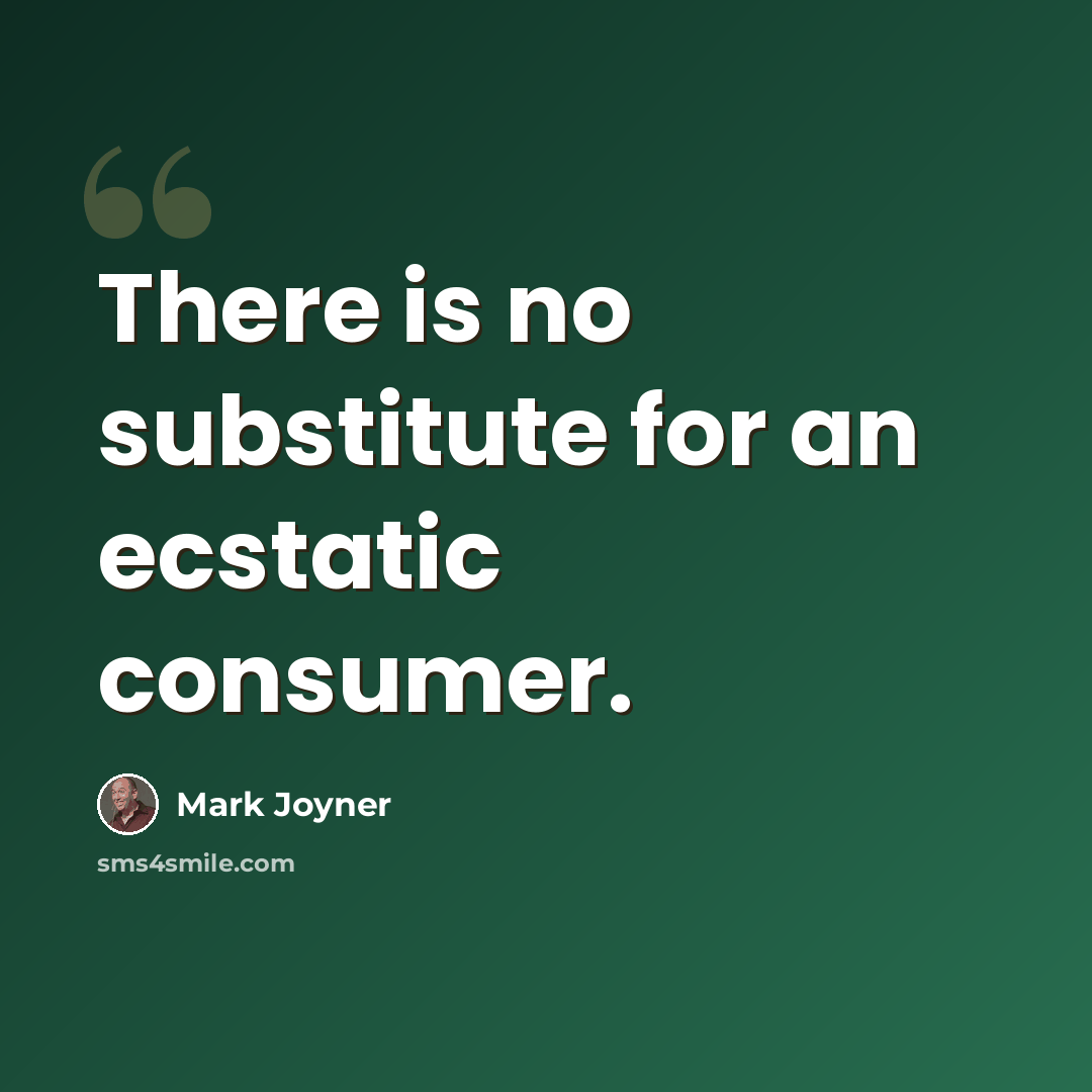 “There is no substitute for an ecstatic consumer.” quote by Mark Joyner