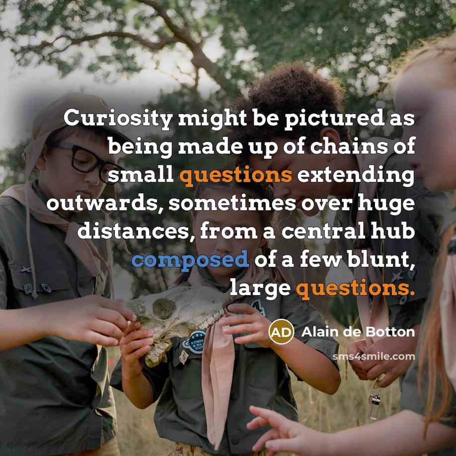 “Curiosity might be pictured as being made up of chains of small questions extending outwards, sometimes over huge distances, from a central hub composed of a few blunt, large questions.” quote by Alain de Botton