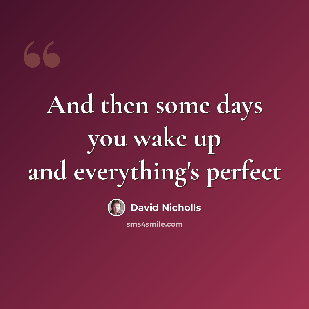 “And then some days you wake up and everything's perfect” quote by David Nicholls