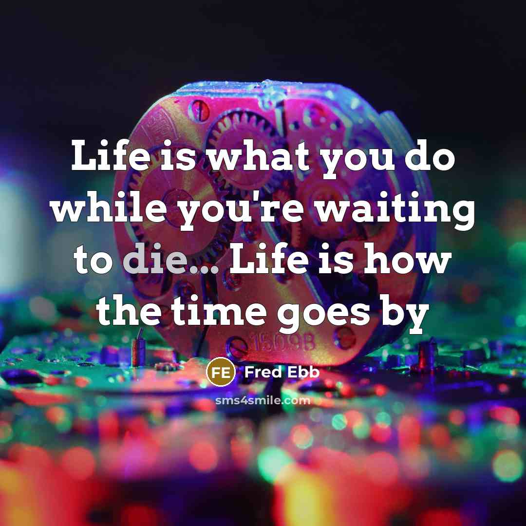 “Life is what you do while you're waiting to die... Life is how the time goes by” quote by Fred Ebb