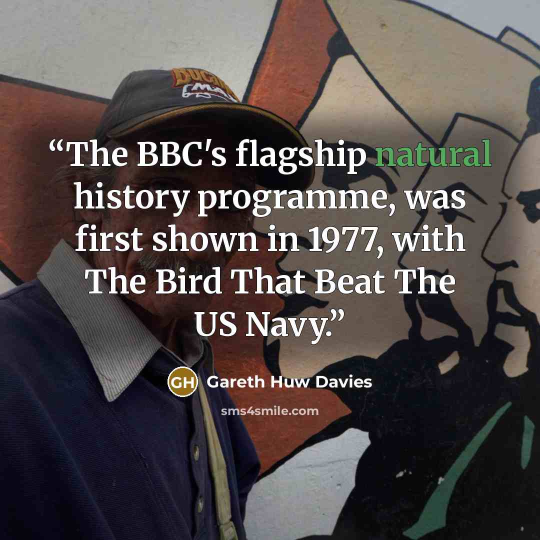 “The BBC's flagship natural history programme, was first shown in 1977, with The Bird That Beat The US Navy.” quote by Gareth Huw Davies