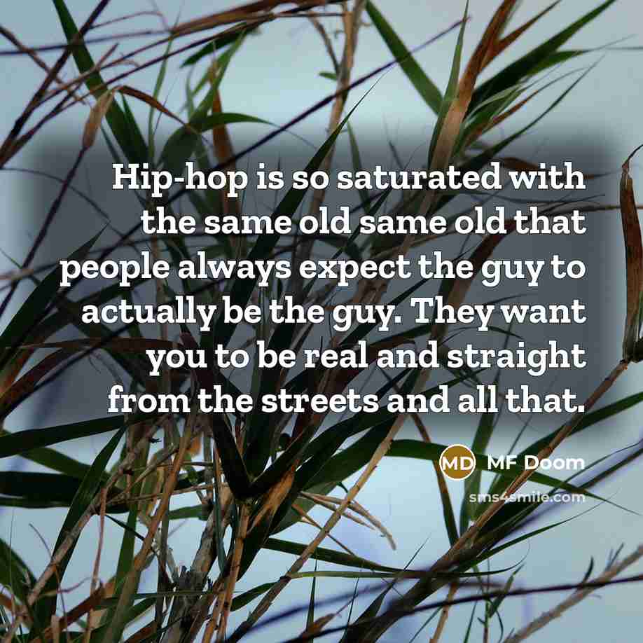 “Hip-hop is so saturated with the same old same old that people always expect the guy to actually be the guy. They want you to be real and straight from the streets and all that.” quote by MF Doom