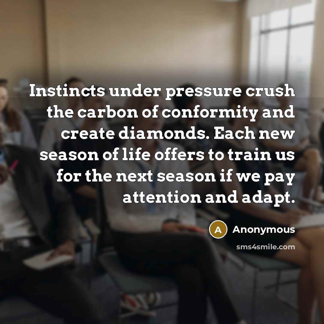 “Instincts under pressure crush the carbon of conformity and create diamonds. Each new season of life offers to train us for the next season if we pay attention and adapt.” quote by Anonymous