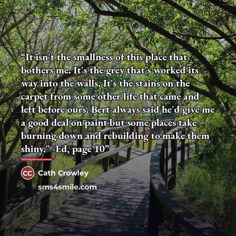 “It isn't the smallness of this place that bothers me. It's the grey that's worked its way into the walls. It's the stains on the carpet from some other life that came and left before ours. Bert always said he'd give me a good deal on paint but some places take burning down and rebuilding to make…” quote by Cath Crowley