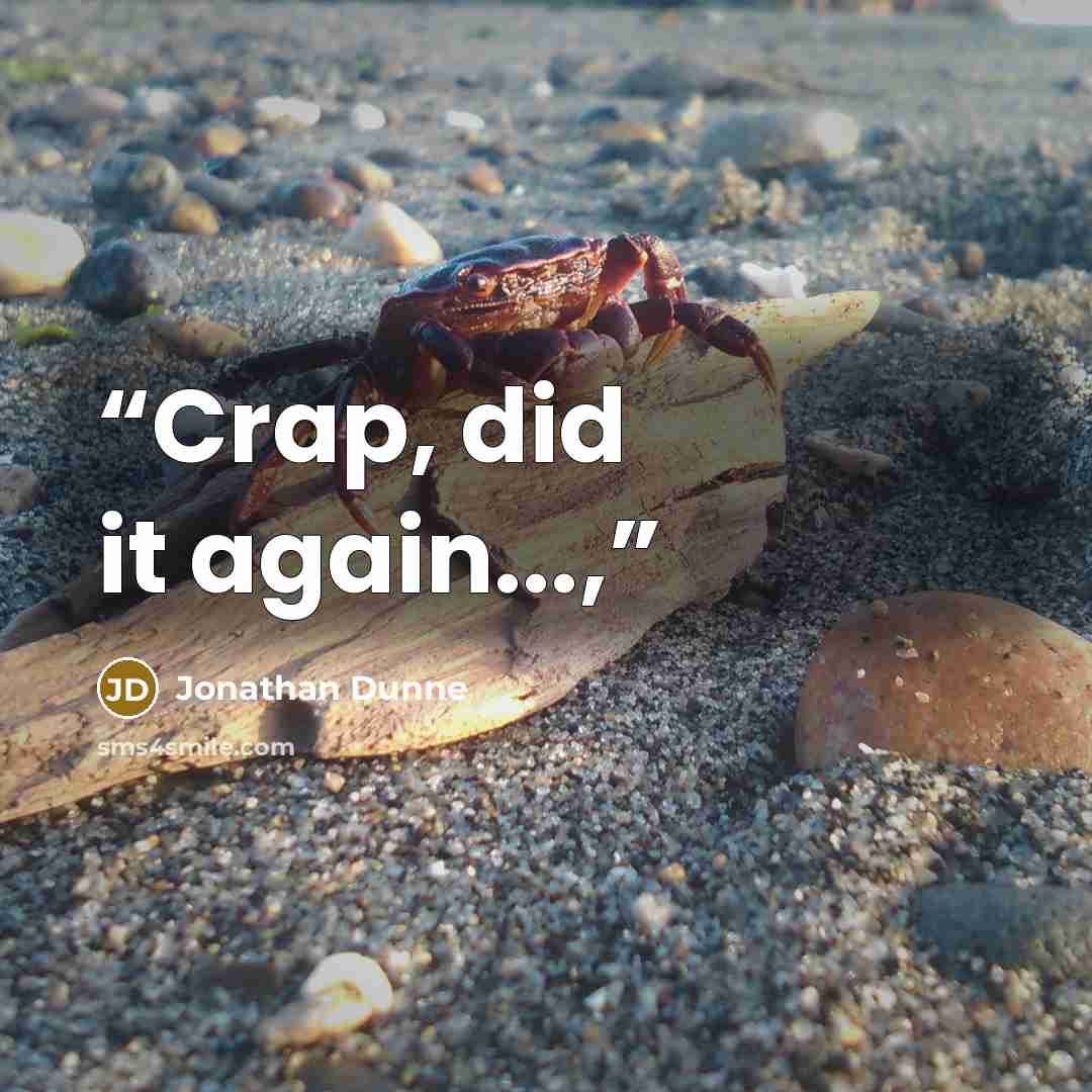 “Crap, did it again...,” quote by Jonathan Dunne