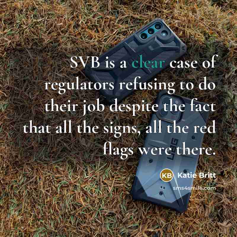 “SVB is a clear case of regulators refusing to do their job despite the fact that all the signs, all the red flags were there.” quote by Katie Britt