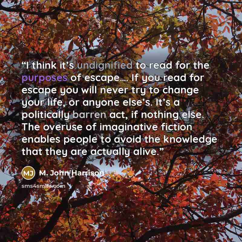 “I think it’s undignified to read for the purposes of escape…. If you read for escape you will never try to change your life, or anyone else’s. It’s a politically barren act, if nothing else. The overuse of imaginative fiction enables people to avoid the knowledge that they are actually alive.” quote by M. John Harrison