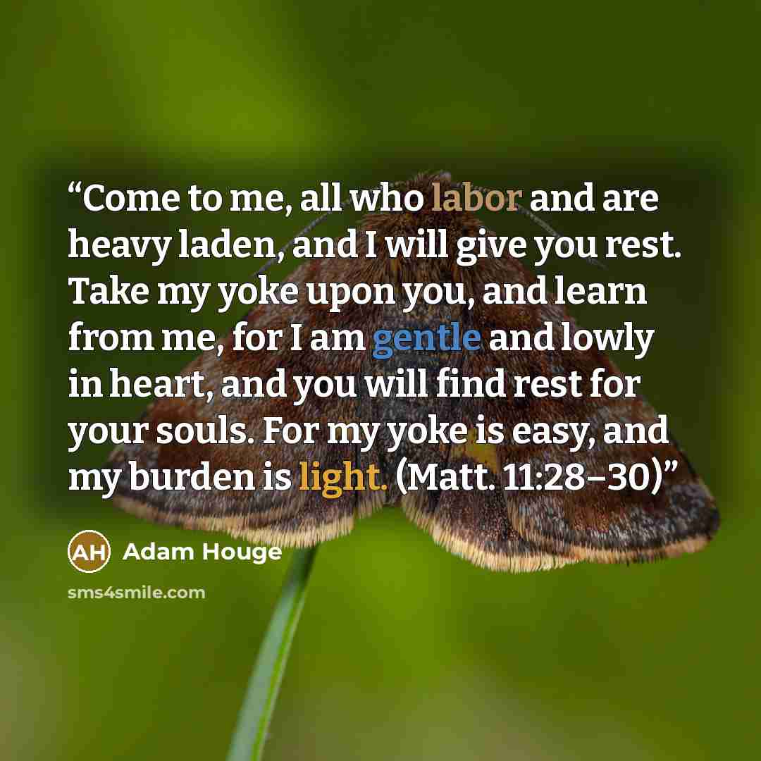 “Come to me, all who labor and are heavy laden, and I will give you rest. Take my yoke upon you, and learn from me, for I am gentle and lowly in heart, and you will find rest for your souls. For my yoke is easy, and my burden is light. (Matt. 11:28–30)” quote by Adam Houge