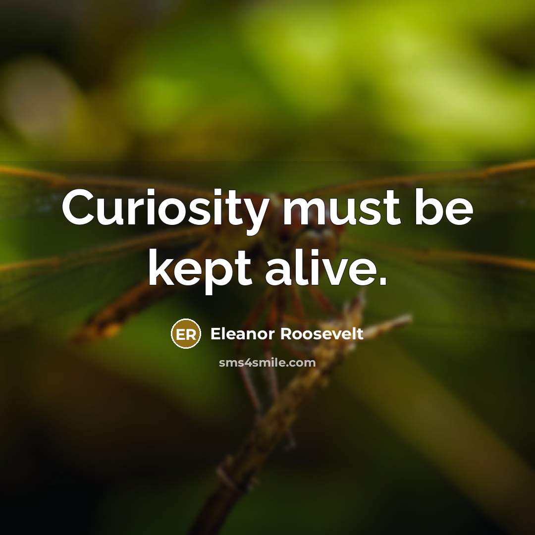 “Curiosity must be kept alive.” quote by Eleanor Roosevelt