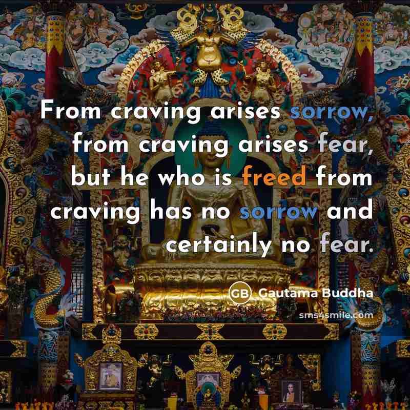 “From craving arises sorrow, from craving arises fear, but he who is freed from craving has no sorrow and certainly no fear.” quote by Gautama Buddha