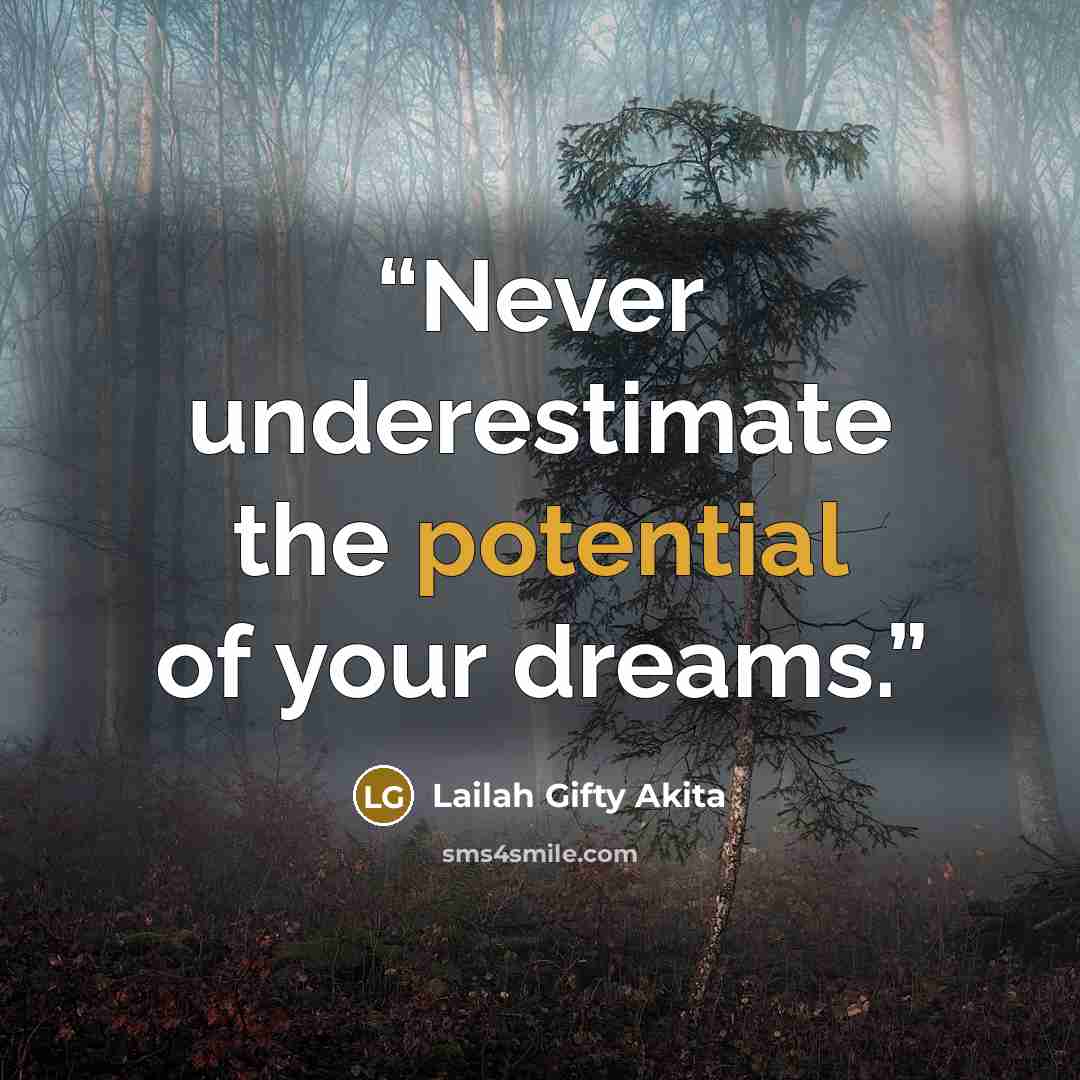 “Never underestimate the potential of your dreams.” quote by Lailah Gifty Akita