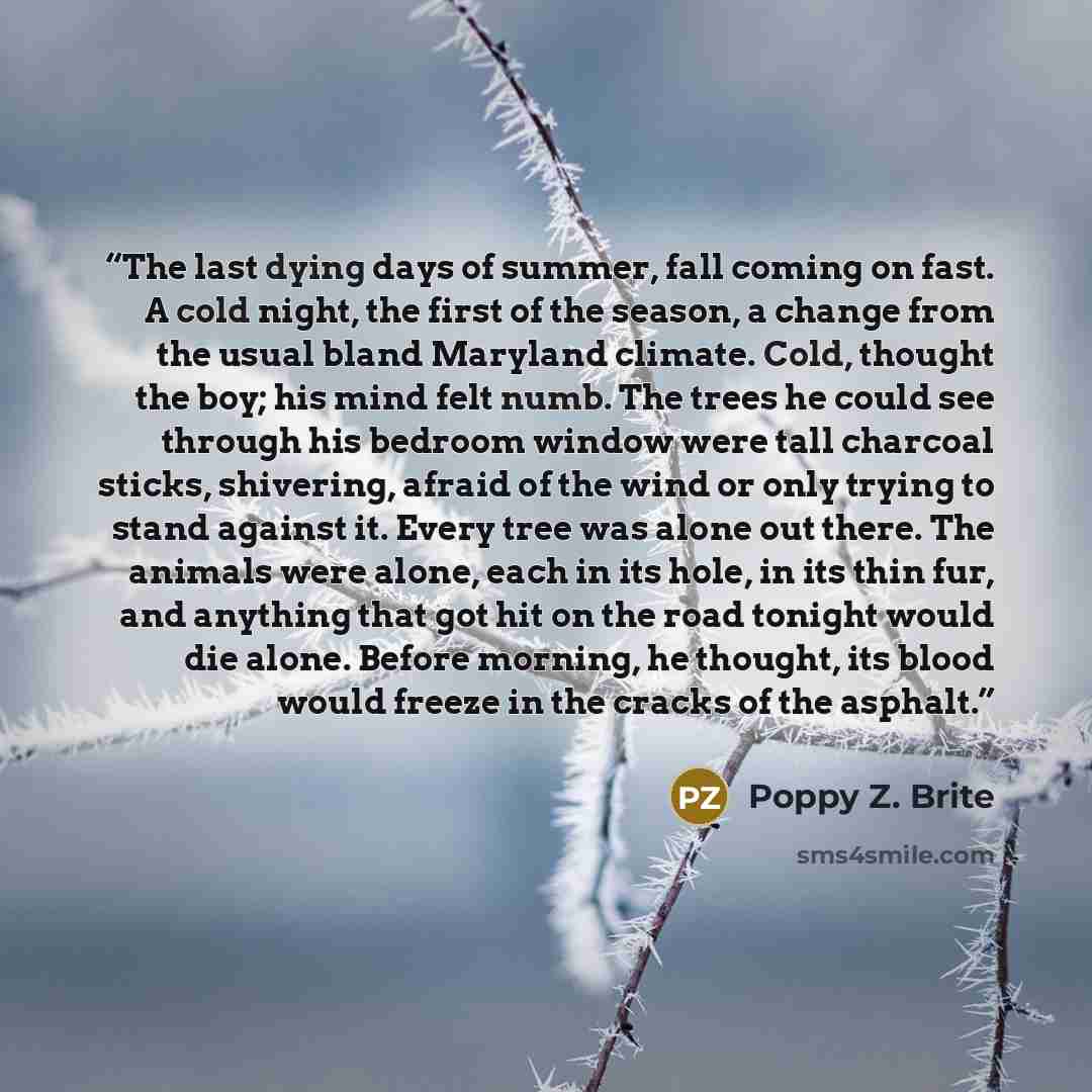 “The last dying days of summer, fall coming on fast. A cold night, the first of the season, a change from the usual bland Maryland climate. Cold, thought the boy; his mind felt numb. The trees he could see through his bedroom window were tall charcoal sticks, shivering, afraid of the wind or only…” quote by Poppy Z. Brite