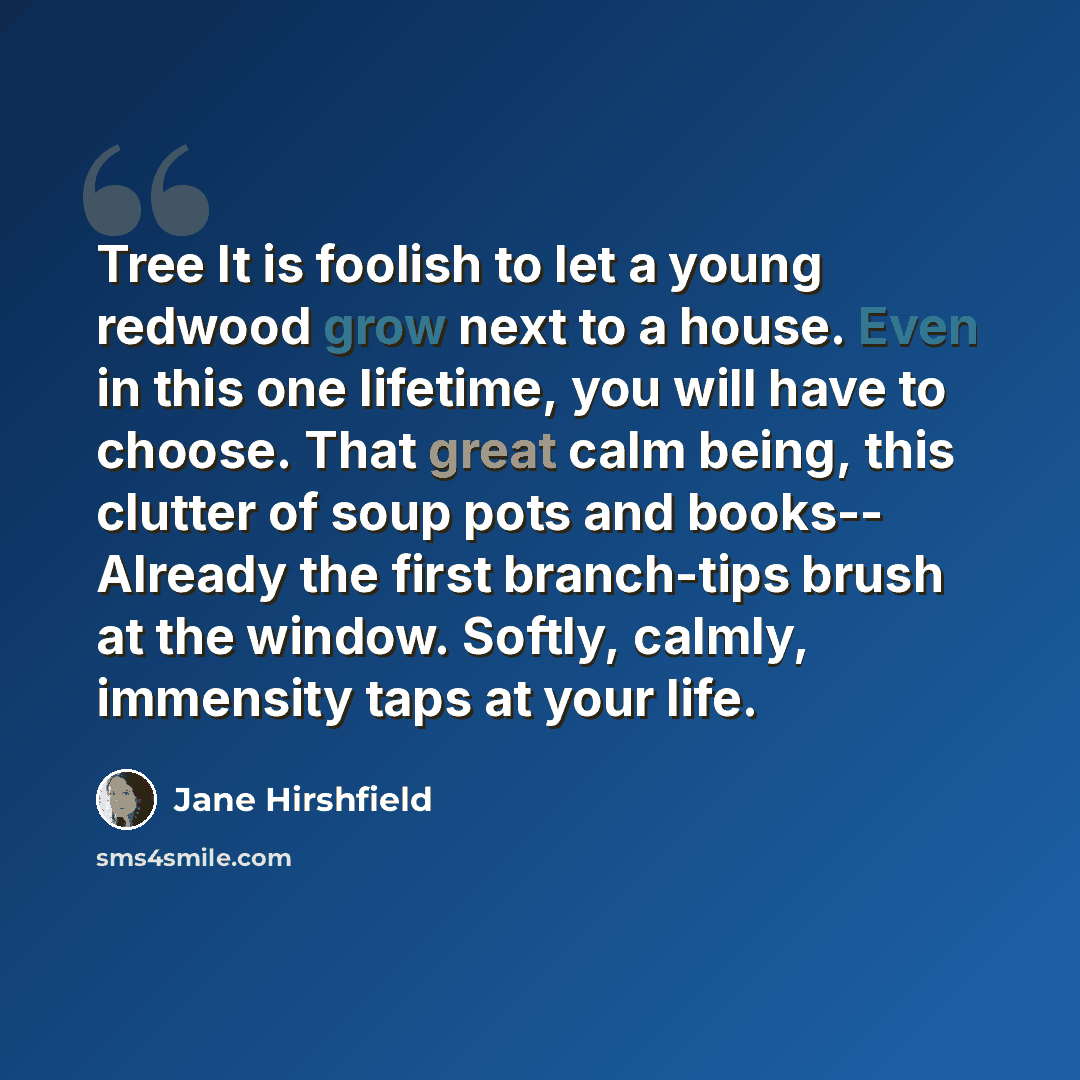 “Tree It is foolish to let a young redwood grow next to a house. Even in this one lifetime, you will have to choose. That great calm being, this clutter of soup pots and books-- Already the first branch-tips brush at the window. Softly, calmly, immensity taps at your life.” quote by Jane Hirshfield