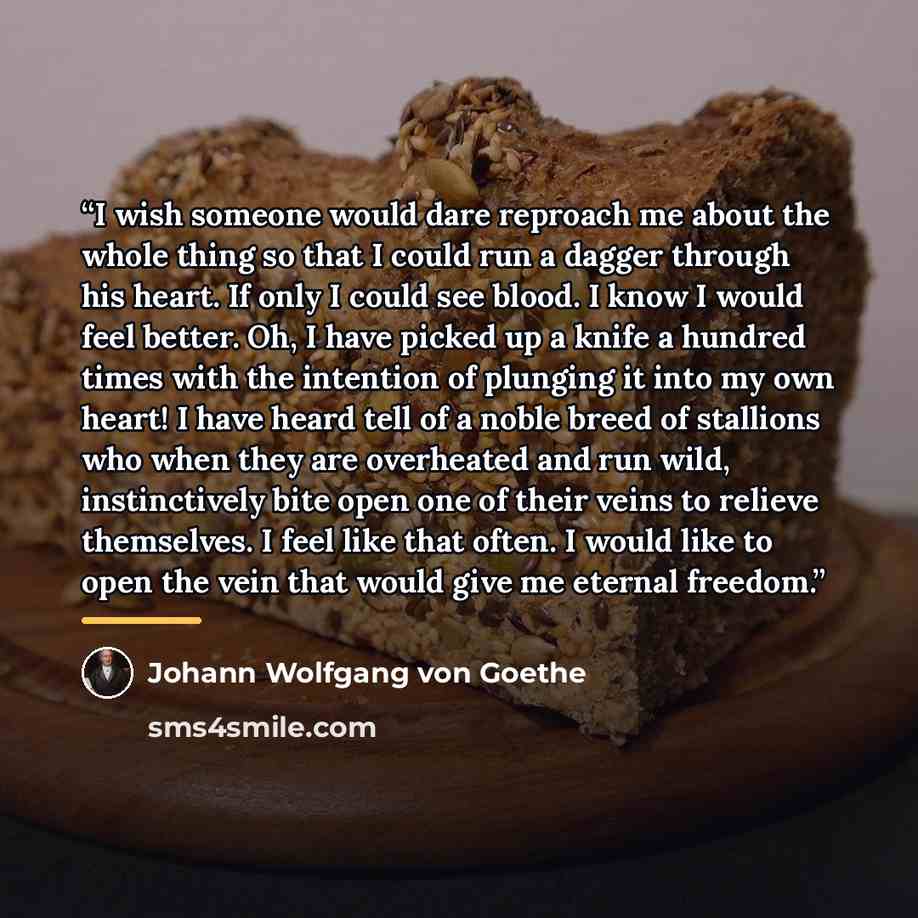 “I wish someone would dare reproach me about the whole thing so that I could run a dagger through his heart. If only I could see blood. I know I would feel better. Oh, I have picked up a knife a hundred times with the intention of plunging it into my own heart! I have heard tell of a noble breed of…” quote by Johann Wolfgang von Goethe