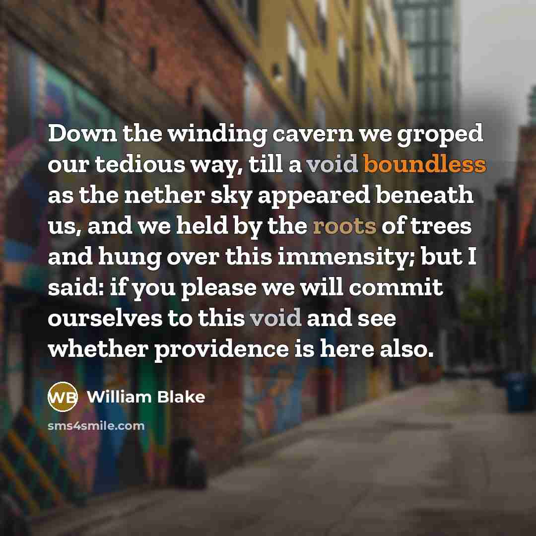 “Down the winding cavern we groped our tedious way, till a void boundless as the nether sky appeared beneath us, and we held by the roots of trees and hung over this immensity; but I said: if you please we will commit ourselves to this void and see whether providence is here also.” quote by William Blake