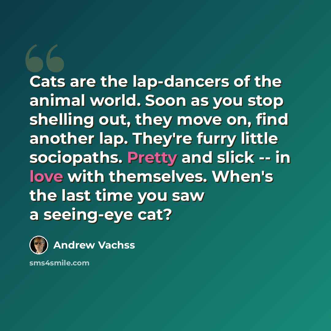 “Cats are the lap-dancers of the animal world. Soon as you stop shelling out, they move on, find another lap. They're furry little sociopaths. Pretty and slick -- in love with themselves. When's the last time you saw a seeing-eye cat?” quote by Andrew Vachss