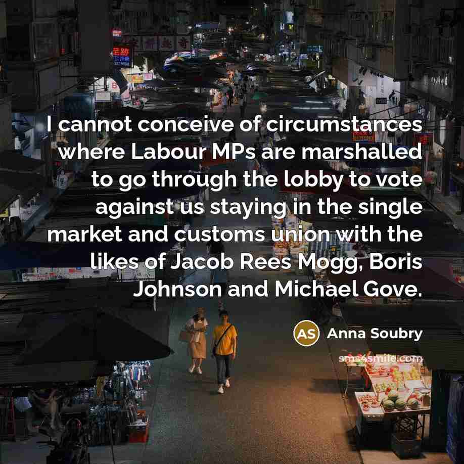 “I cannot conceive of circumstances where Labour MPs are marshalled to go through the lobby to vote against us staying in the single market and customs union with the likes of Jacob Rees Mogg, Boris Johnson and Michael Gove.” quote by Anna Soubry