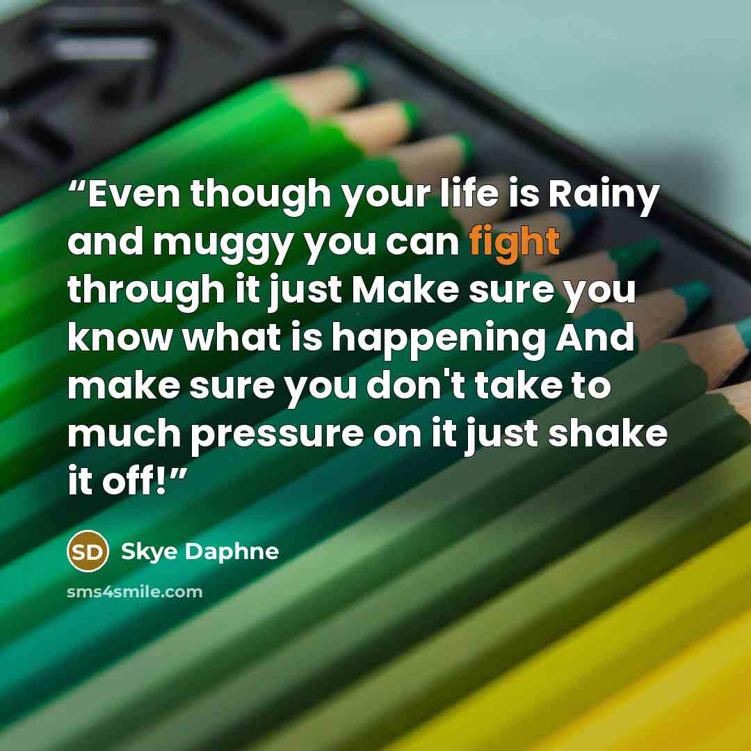 “Even though your life is Rainy and muggy you can fight through it just Make sure you know what is happening And make sure you don't take to much pressure on it just shake it off!” quote by Skye Daphne
