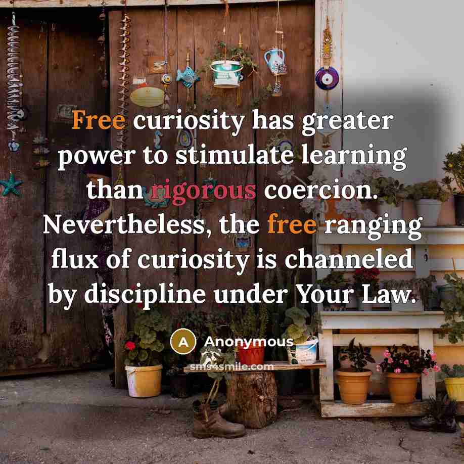 “Free curiosity has greater power to stimulate learning than rigorous coercion. Nevertheless, the free ranging flux of curiosity is channeled by discipline under Your Law.” quote by Anonymous