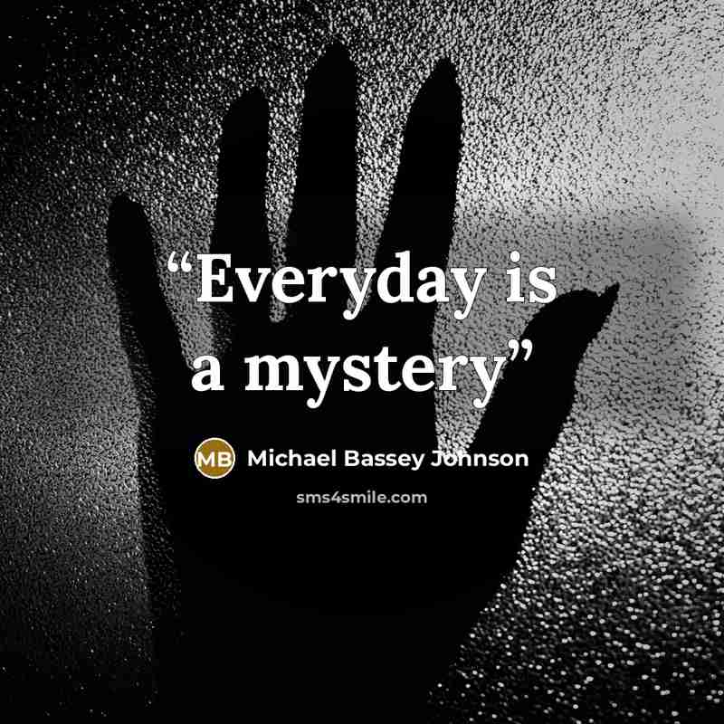 “Everyday is a mystery” quote by Michael Bassey Johnson