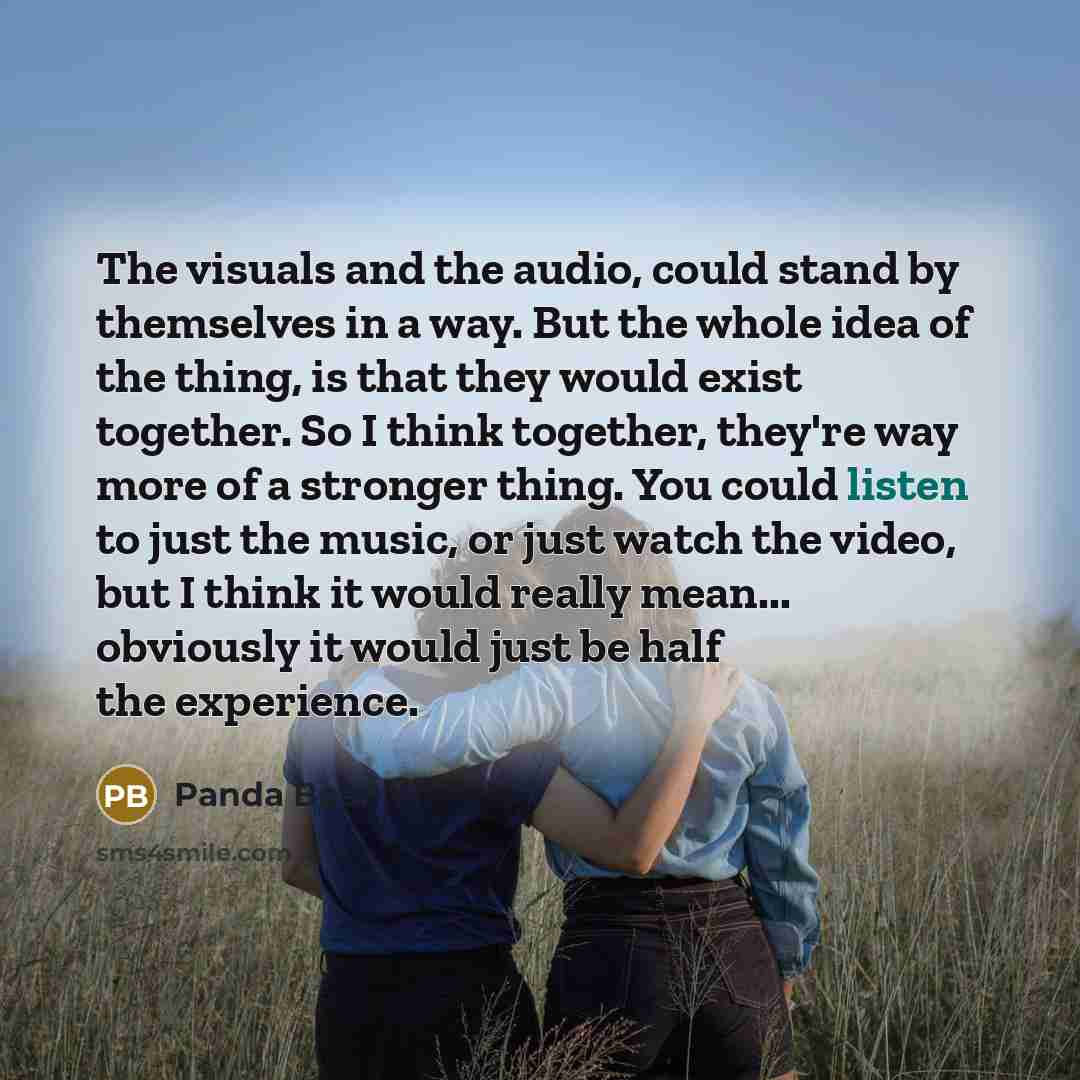 “The visuals and the audio, could stand by themselves in a way. But the whole idea of the thing, is that they would exist together. So I think together, they're way more of a stronger thing. You could listen to just the music, or just watch the video, but I think it would really mean... obviously…” quote by Panda Bear