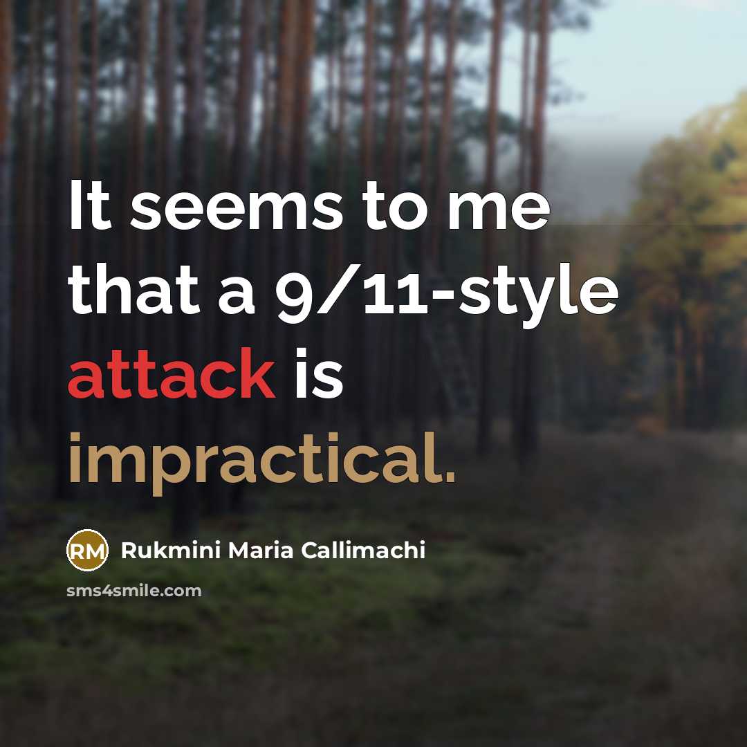 “It seems to me that a 9/11-style attack is impractical.” quote by Rukmini Maria Callimachi
