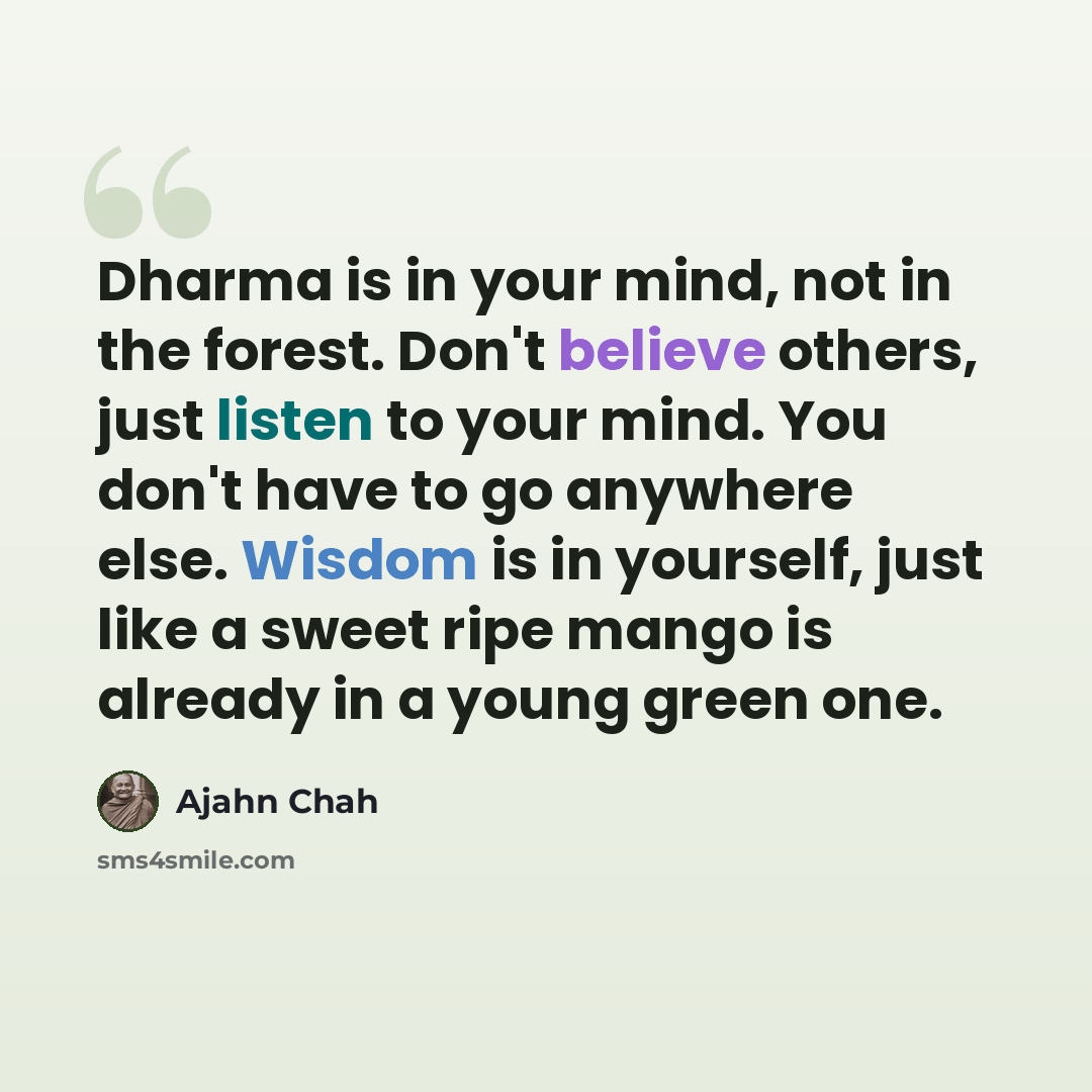 “Dharma is in your mind, not in the forest. Don't believe others, just listen to your mind. You don't have to go anywhere else. Wisdom is in yourself, just like a sweet ripe mango is already in a young green one.” quote by Ajahn Chah