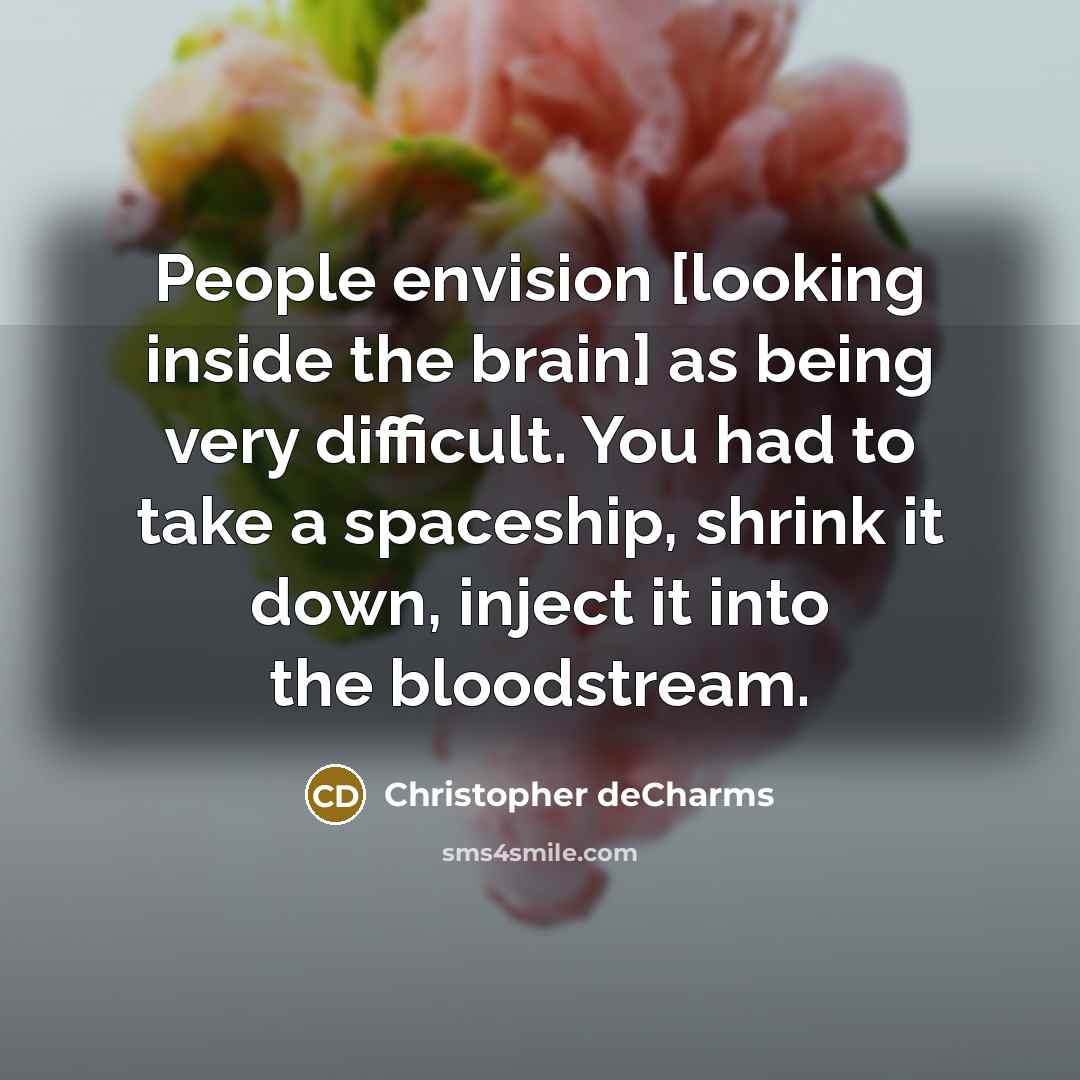 “People envision [looking inside the brain] as being very difficult. You had to take a spaceship, shrink it down, inject it into the bloodstream.” quote by Christopher deCharms