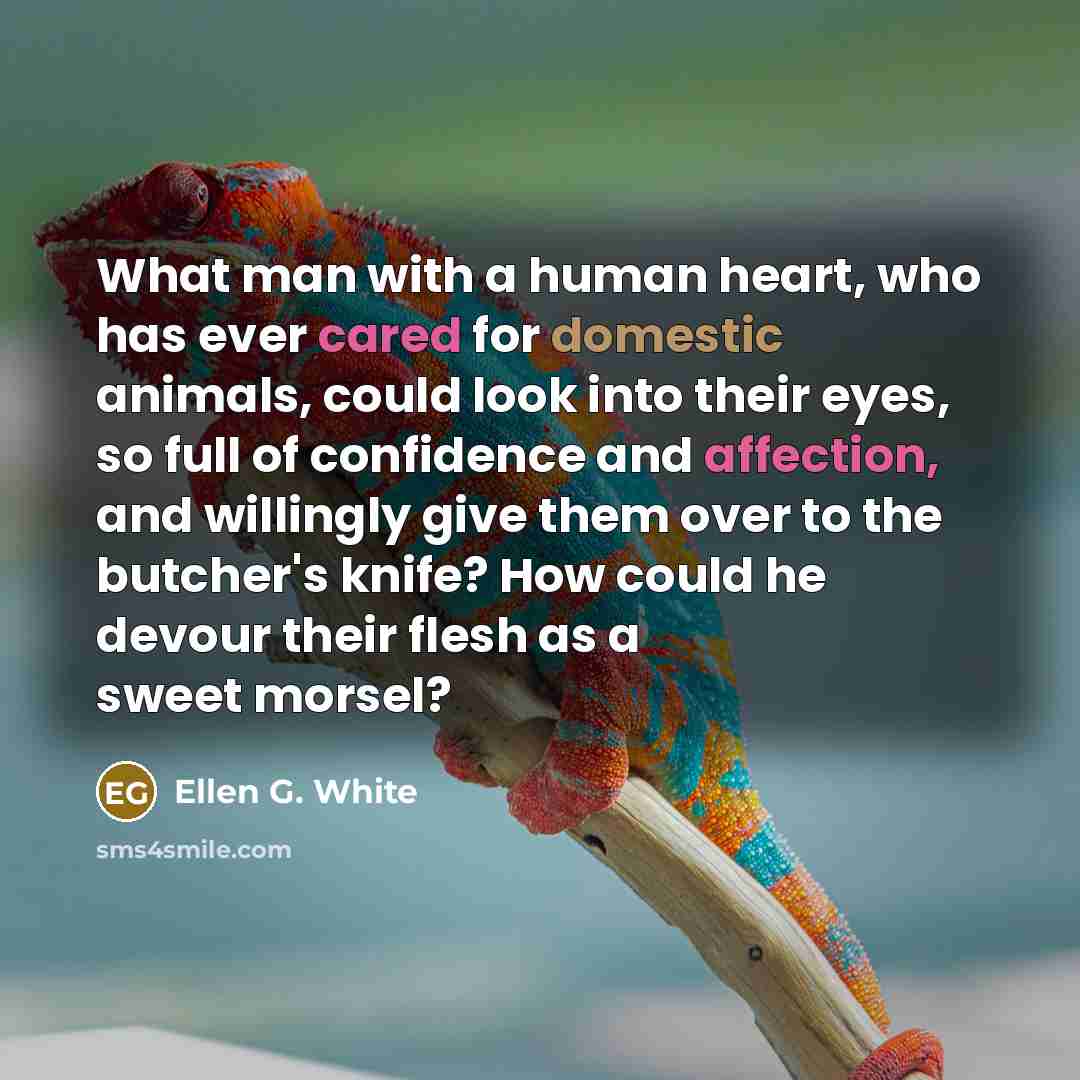 “What man with a human heart, who has ever cared for domestic animals, could look into their eyes, so full of confidence and affection, and willingly give them over to the butcher's knife? How could he devour their flesh as a sweet morsel?” quote by Ellen G. White