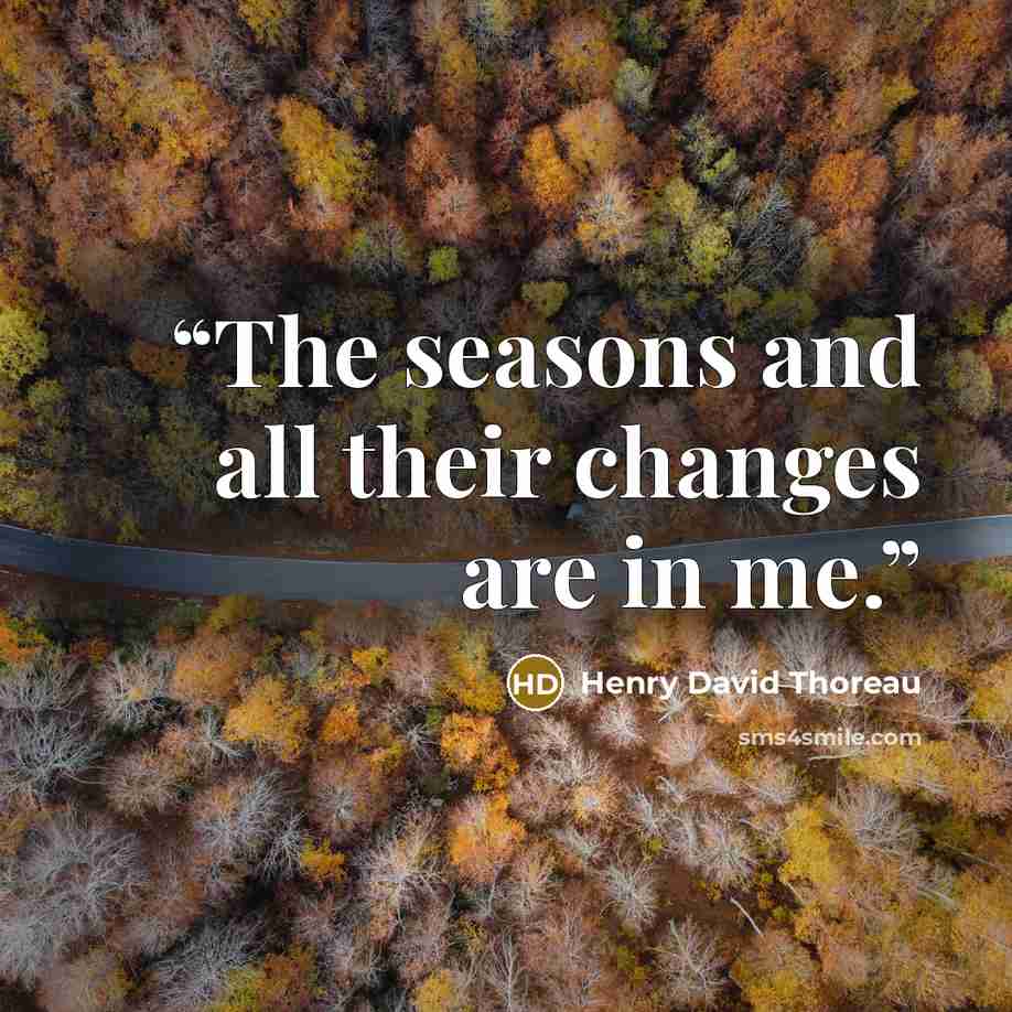 “The seasons and all their changes are in me.” quote by Henry David Thoreau