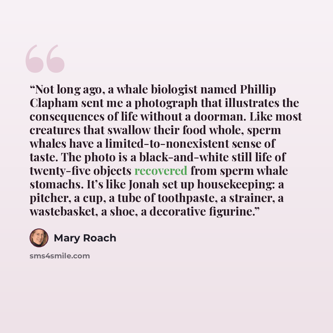 “Not long ago, a whale biologist named Phillip Clapham sent me a photograph that illustrates the consequences of life without a doorman. Like most creatures that swallow their food whole, sperm whales have a limited-to-nonexistent sense of taste. The photo is a black-and-white still life of…” quote by Mary Roach