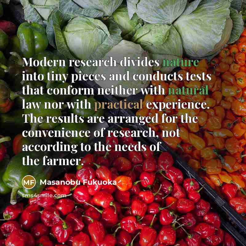 “Modern research divides nature into tiny pieces and conducts tests that conform neither with natural law nor with practical experience. The results are arranged for the convenience of research, not according to the needs of the farmer.” quote by Masanobu Fukuoka