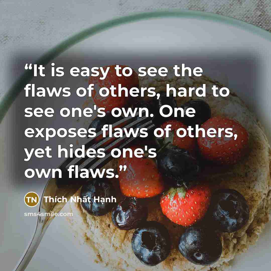 “It is easy to see the flaws of others, hard to see one's own. One exposes flaws of others, yet hides one's own flaws.” quote by Thích Nhất Hạnh