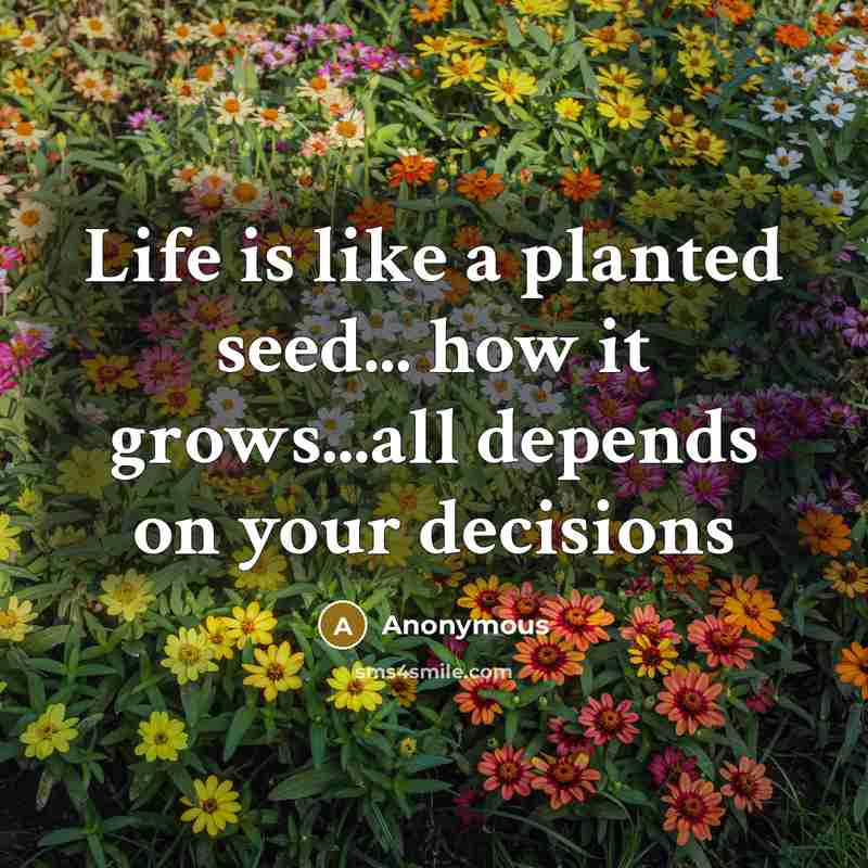 “Life is like a planted seed... how it grows...all depends on your decisions” quote by Anonymous