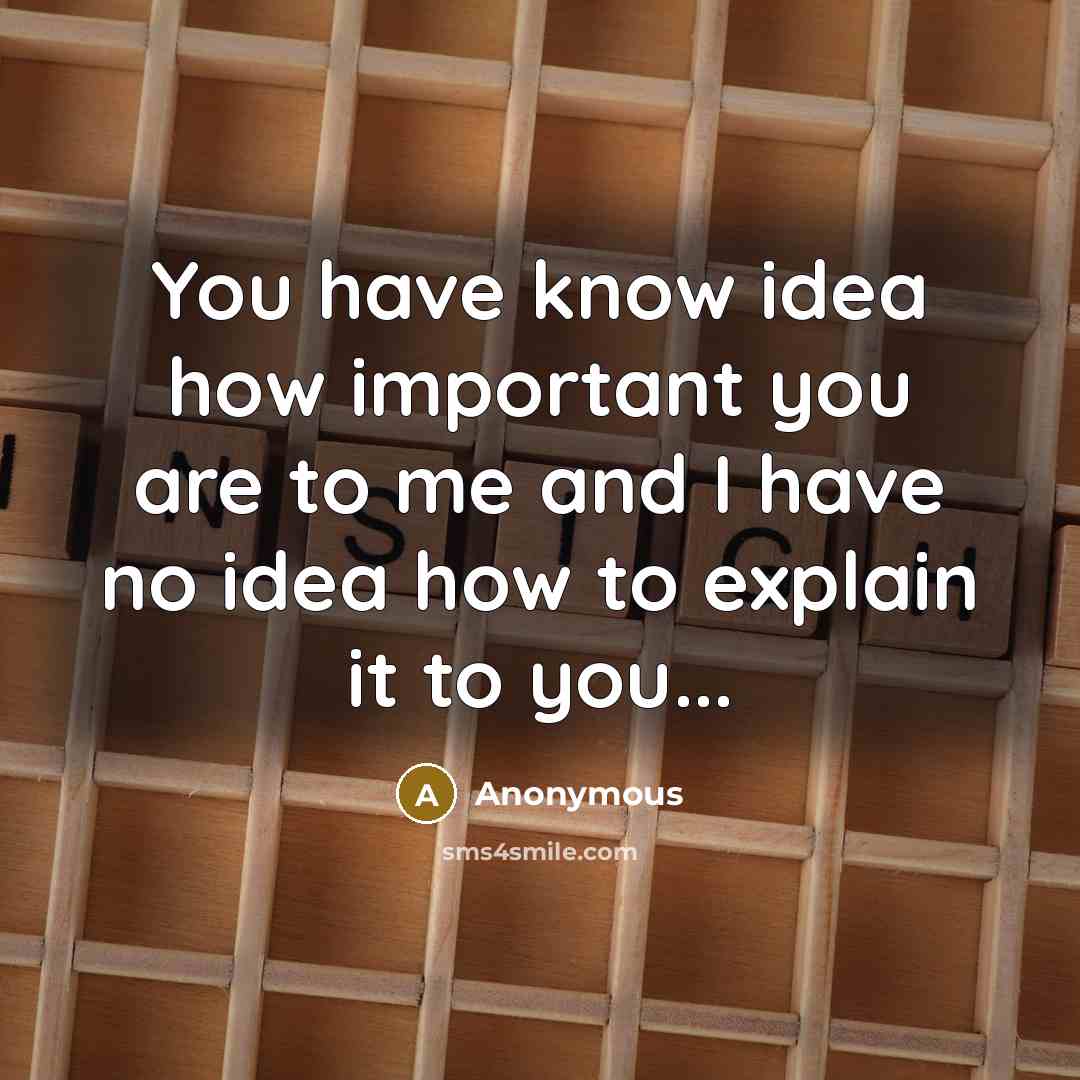 “You have know idea how important you are to me and I have no idea how to explain it to you...” quote by Anonymous