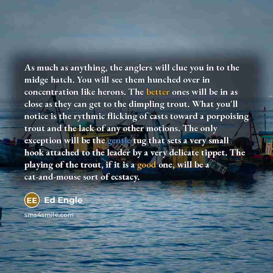 “As much as anything, the anglers will clue you in to the midge hatch. You will see them hunched over in concentration like herons. The better ones will be in as close as they can get to the dimpling trout. What you'll notice is the rythmic flicking of casts toward a porpoising trout and the lack…” quote by Ed Engle