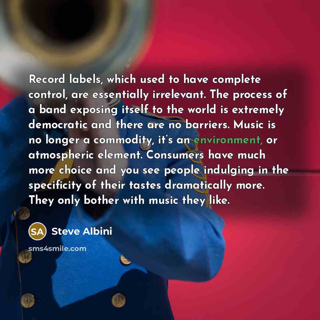“Record labels, which used to have complete control, are essentially irrelevant. The process of a band exposing itself to the world is extremely democratic and there are no barriers. Music is no longer a commodity, it’s an environment, or atmospheric element. Consumers have much more choice and you…” quote by Steve Albini