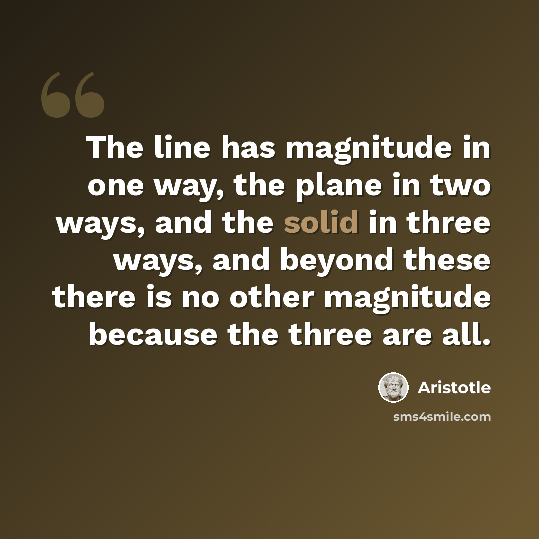 “The line has magnitude in one way, the plane in two ways, and the solid in three ways, and beyond these there is no other magnitude because the three are all.” quote by Aristotle
