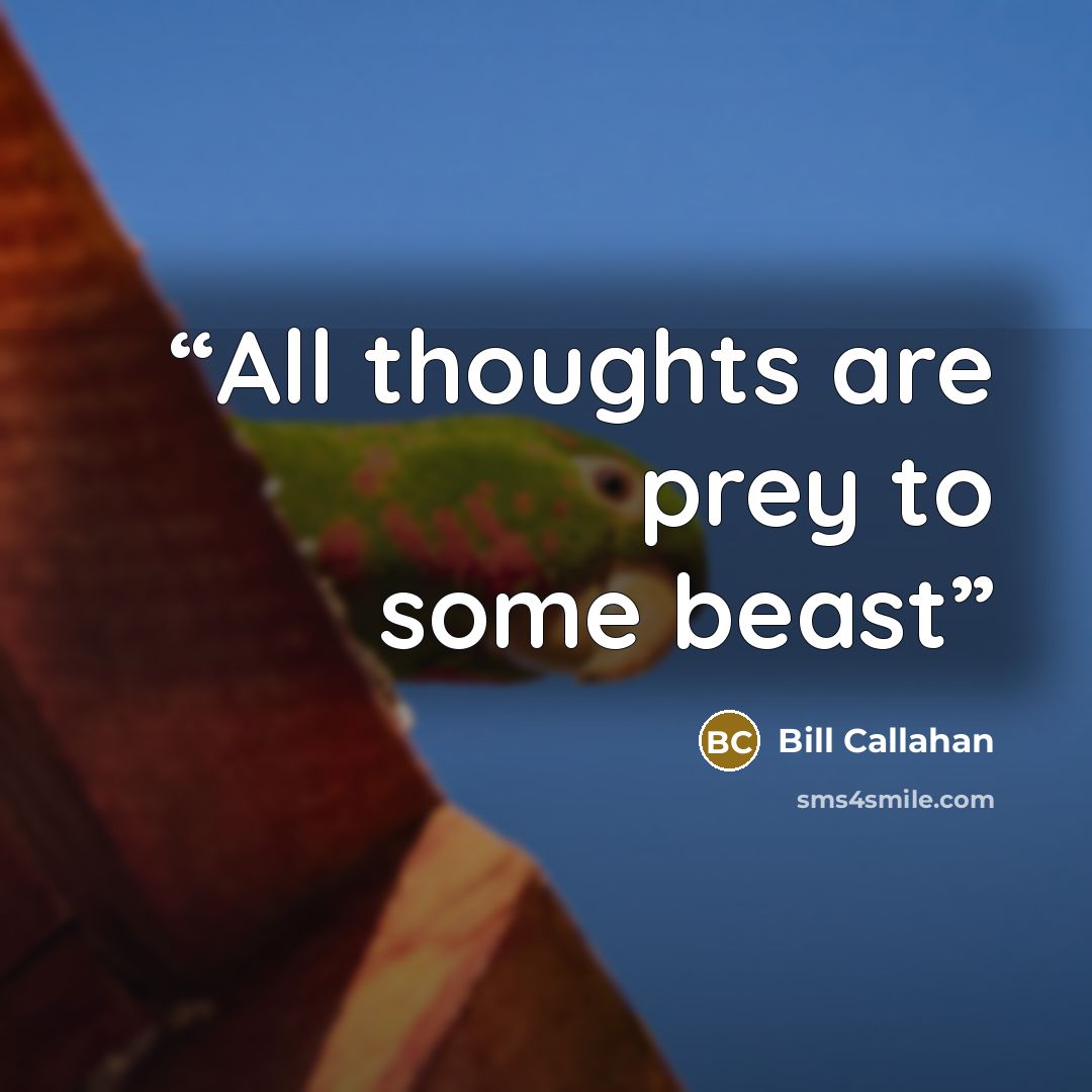 “All thoughts are prey to some beast” quote by Bill Callahan